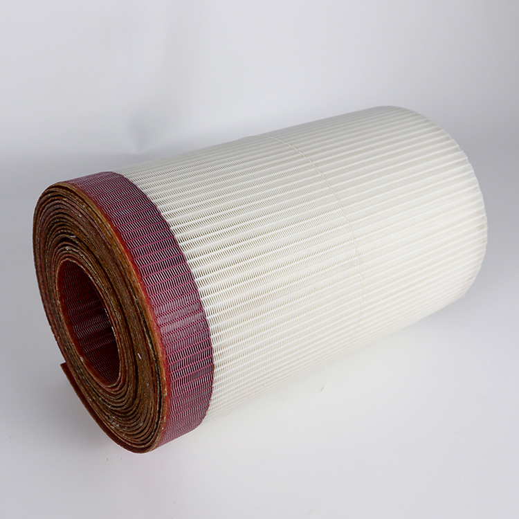 Conveyor Belts for Drying and Filtration